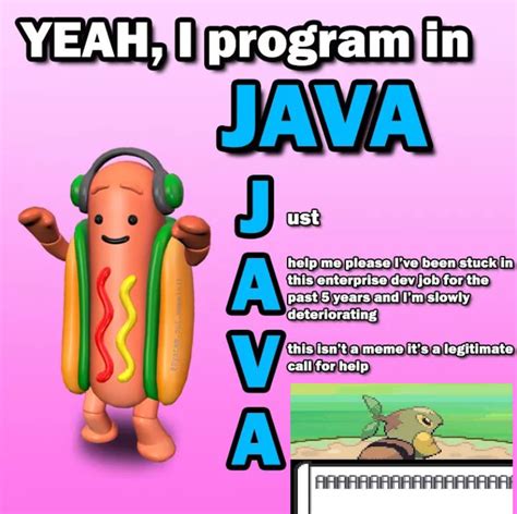 java memes.